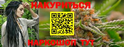 гашик Можга